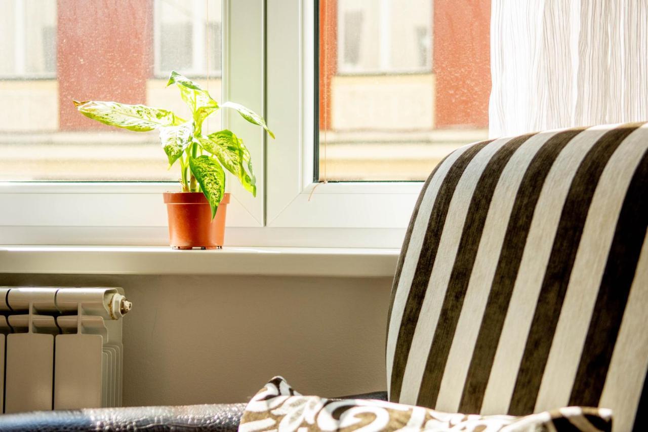 Cute And Cozy Studio With Cathedral View-Excellent Location سراييفو المظهر الخارجي الصورة